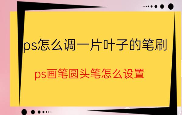 ps怎么调一片叶子的笔刷 ps画笔圆头笔怎么设置？